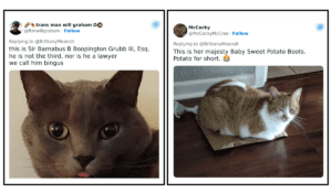 featured image-catname featured image-catname